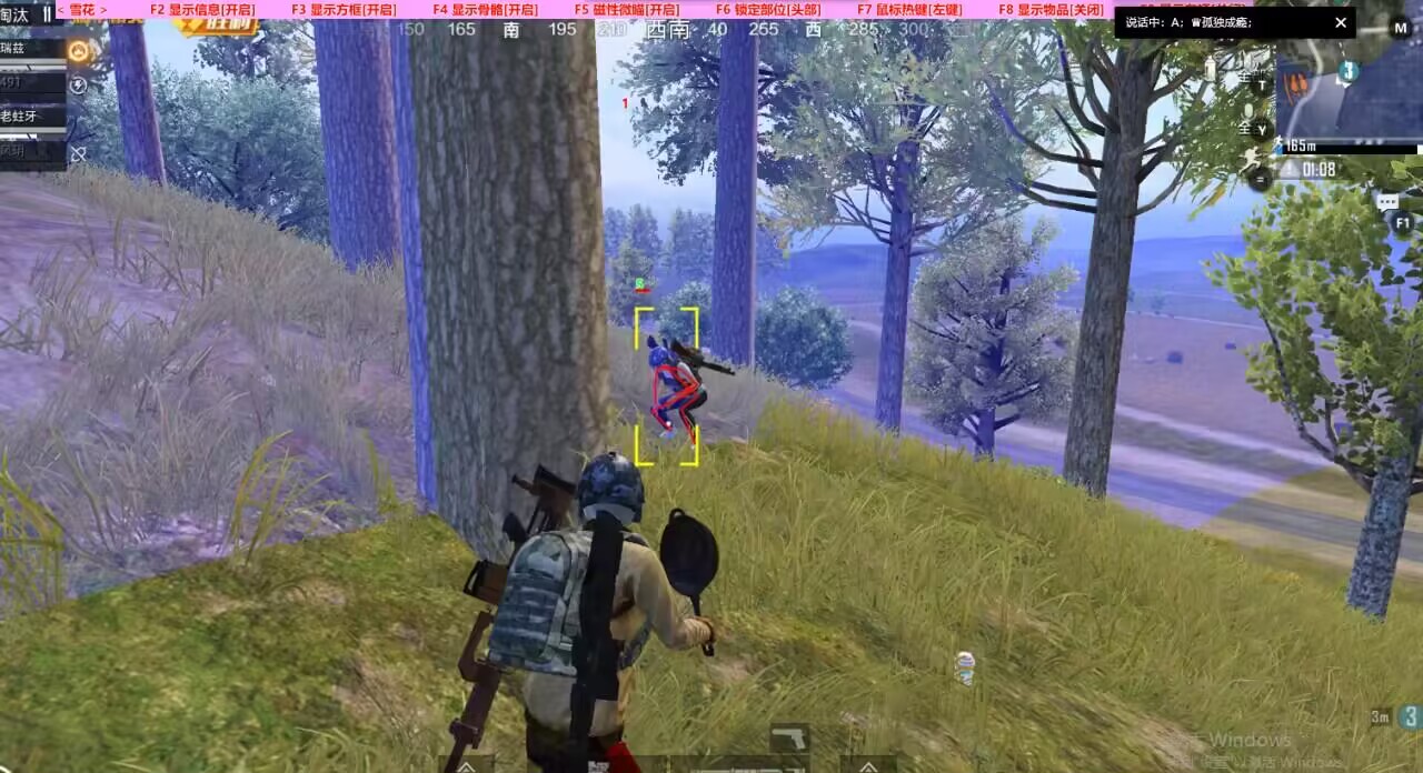 和平精英98k耀虎外挂